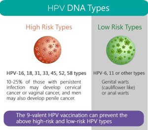 انواع ویروس HPV