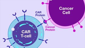 CAR T-cell