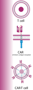 درمان CAR T-cell