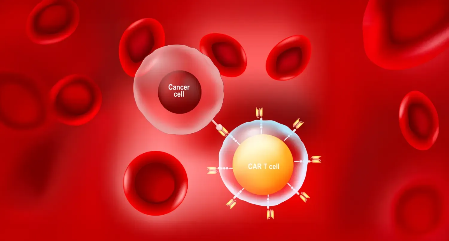 اتصال سلول سرطانی به CAR T-cell